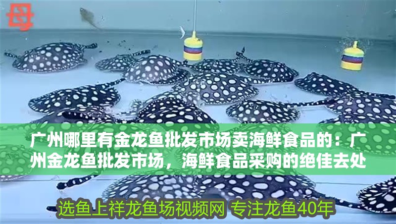 廣州哪里有金龍魚批發(fā)市場賣海鮮食品的：廣州金龍魚批發(fā)市場，海鮮食品采購的絕佳去處