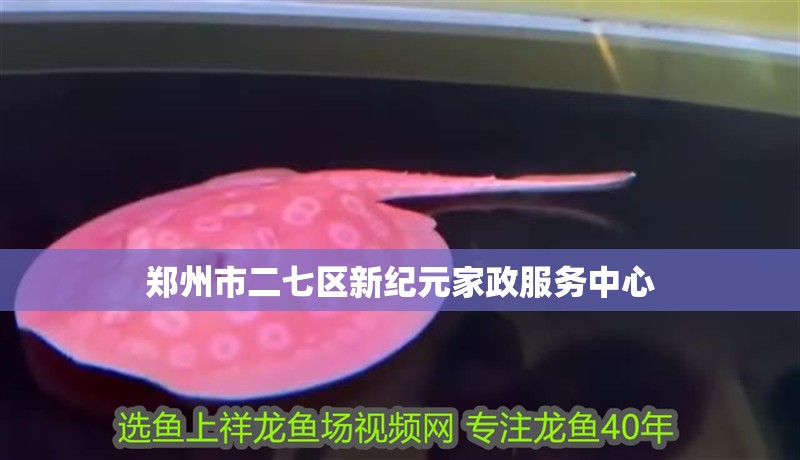 鄭州市二七區新紀元家政服務中心