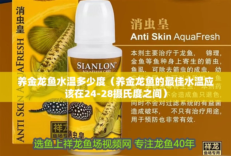 養(yǎng)金龍魚水溫多少度（養(yǎng)金龍魚的最佳水溫應(yīng)該在24-28攝氏度之間）