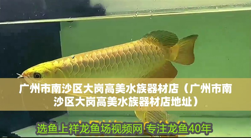 廣州市南沙區(qū)大崗高美水族器材店（廣州市南沙區(qū)大崗高美水族器材店地址）