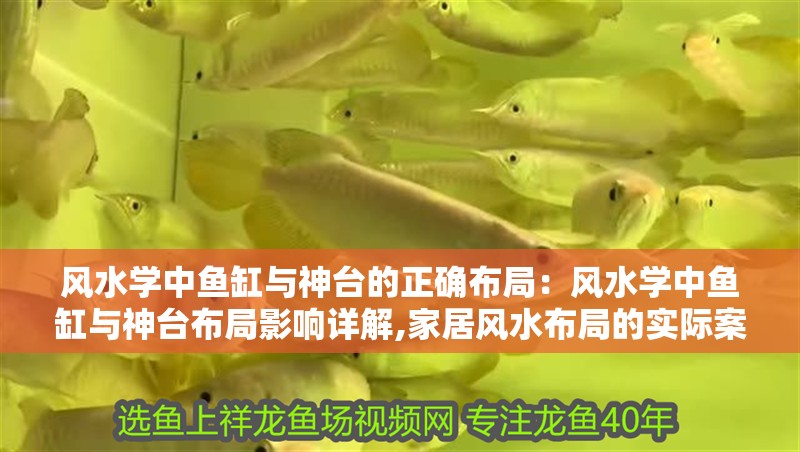 風(fēng)水學(xué)中魚缸與神臺的正確布局：風(fēng)水學(xué)中魚缸與神臺布局影響詳解,家居風(fēng)水布局的實際案例
