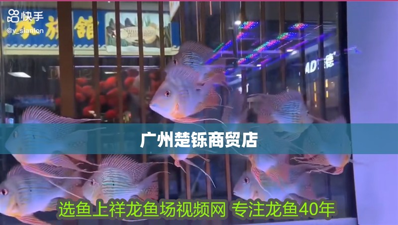 廣州楚鑠商貿店