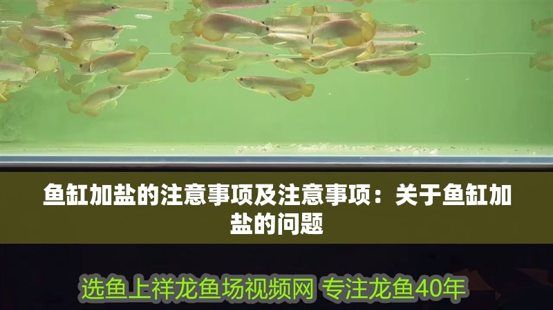 魚缸加鹽的注意事項及注意事項：關于魚缸加鹽的問題