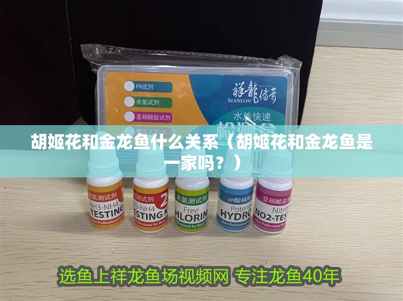 胡姬花和金龍魚什么關(guān)系（胡姬花和金龍魚是一家嗎？）