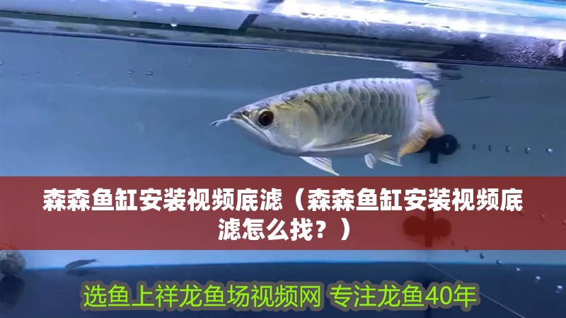 森森魚缸安裝視頻底濾（森森魚缸安裝視頻底濾怎么找？）
