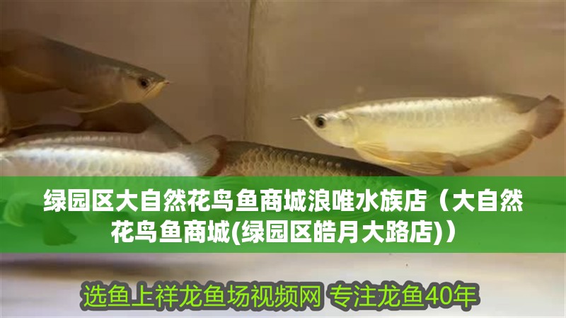 綠園區(qū)大自然花鳥魚商城浪唯水族店（大自然花鳥魚商城(綠園區(qū)皓月大路店)） 綠園區(qū)大自然花鳥魚商城浪唯水族店（大自然花鳥魚商城(綠園區(qū)皓月大路店)） 全國水族館企業(yè)名錄