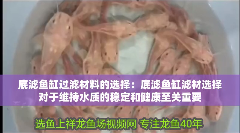 底濾魚缸過濾材料的選擇：底濾魚缸濾材選擇對于維持水質的穩定和健康至關重要