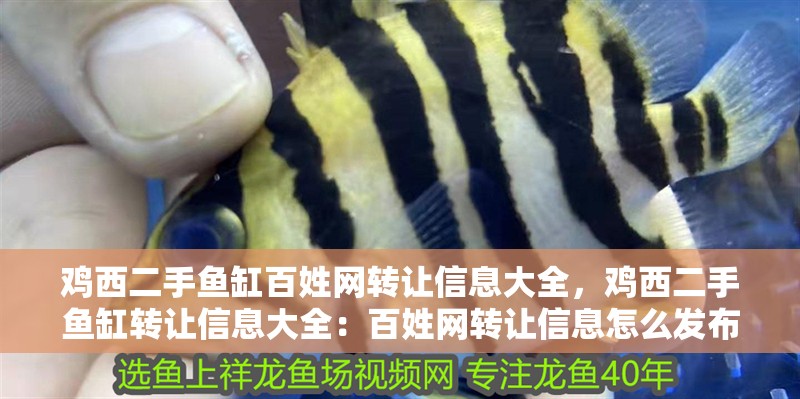 雞西二手魚缸百姓網轉讓信息大全，雞西二手魚缸轉讓信息大全：百姓網轉讓信息怎么發布