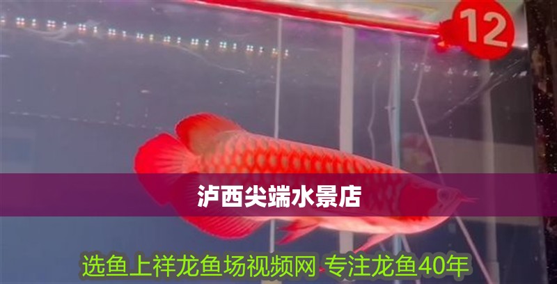 瀘西尖端水景店