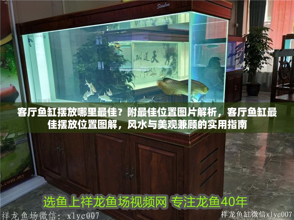 客廳魚缸擺放哪里最佳？附最佳位置圖片解析，客廳魚缸最佳擺放位置圖解，風水與美觀兼顧的實用指南