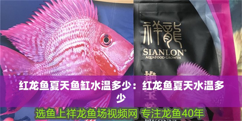 紅龍魚夏天魚缸水溫多少：紅龍魚夏天水溫多少