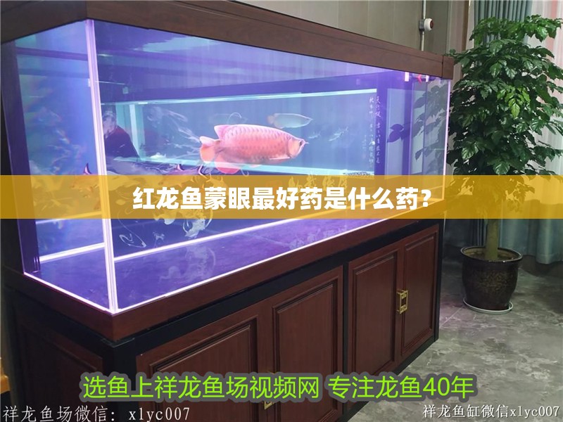 紅龍魚蒙眼最好藥是什么藥？