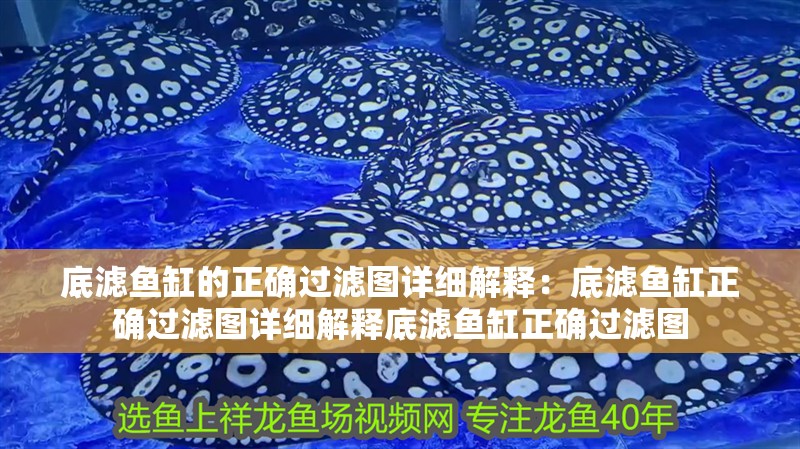 底濾魚缸的正確過濾圖詳細解釋：底濾魚缸正確過濾圖詳細解釋底濾魚缸正確過濾圖