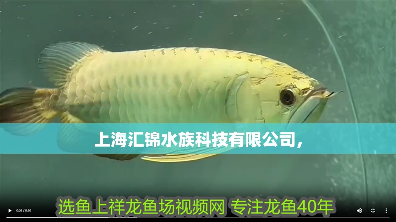 上海匯錦水族科技有限公司，