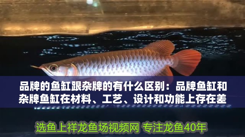 品牌的魚缸跟雜牌的有什么區別：品牌魚缸和雜牌魚缸在材料、工藝、設計和功能上存在差異