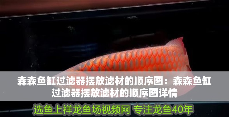 森森魚缸過濾器擺放濾材的順序圖：森森魚缸過濾器擺放濾材的順序圖詳情