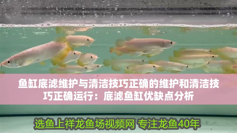 魚缸底濾維護與清潔技巧正確的維護和清潔技巧正確運行：底濾魚缸優缺點分析
