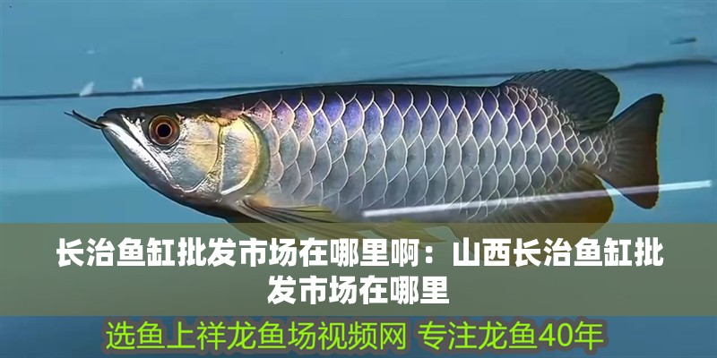 長治魚缸批發市場在哪里啊：山西長治魚缸批發市場在哪里