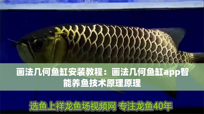畫法幾何魚缸安裝教程：畫法幾何魚缸app智能養(yǎng)魚技術(shù)原理原理