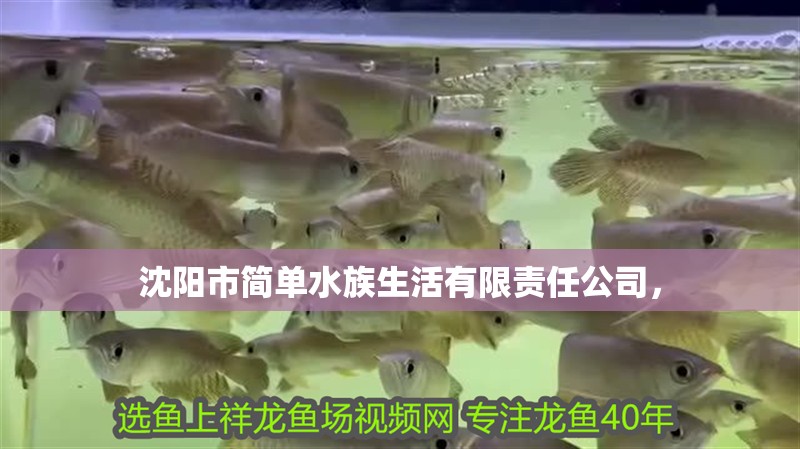 沈陽市簡單水族生活有限責(zé)任公司，
