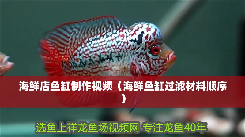 海鮮店魚缸制作視頻（海鮮魚缸過濾材料順序）
