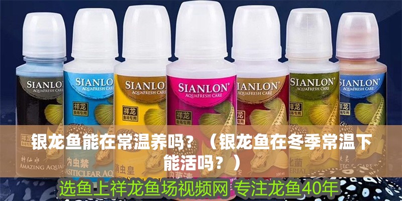 銀龍魚能在常溫養嗎？（銀龍魚在冬季常溫下能活嗎？）
