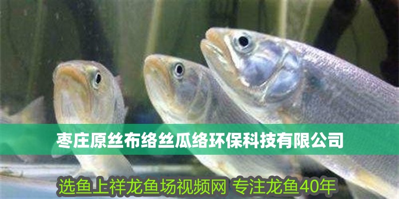 魚缸造景先放沙還是先放水(魚缸造景先鋪沙還是先放石頭) 棗莊原絲布絡(luò)絲瓜絡(luò)環(huán)保科技有限公司 全國水族館企業(yè)名錄 棗莊原絲布絡(luò)絲瓜絡(luò)環(huán)保科技有限公司 棗莊原絲布絡(luò)絲瓜絡(luò)環(huán)保科技有限公司 全國水族館企業(yè)名錄
