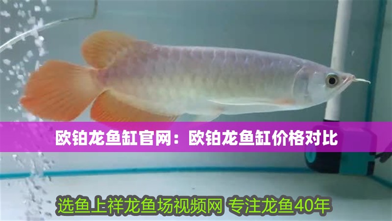 歐鉑龍魚缸官網(wǎng)：歐鉑龍魚缸價格對比