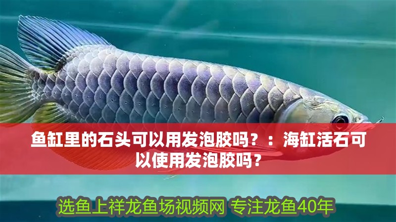 魚缸里的石頭可以用發泡膠嗎？：海缸活石可以使用發泡膠嗎？