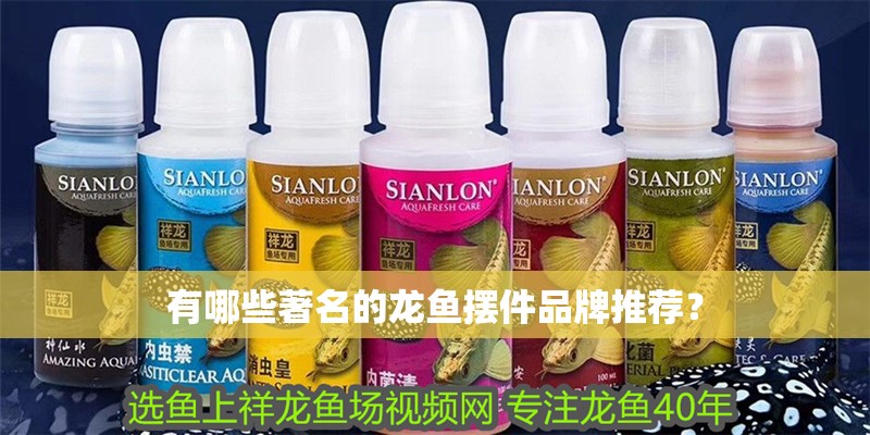 有哪些著名的龍魚擺件品牌推薦？