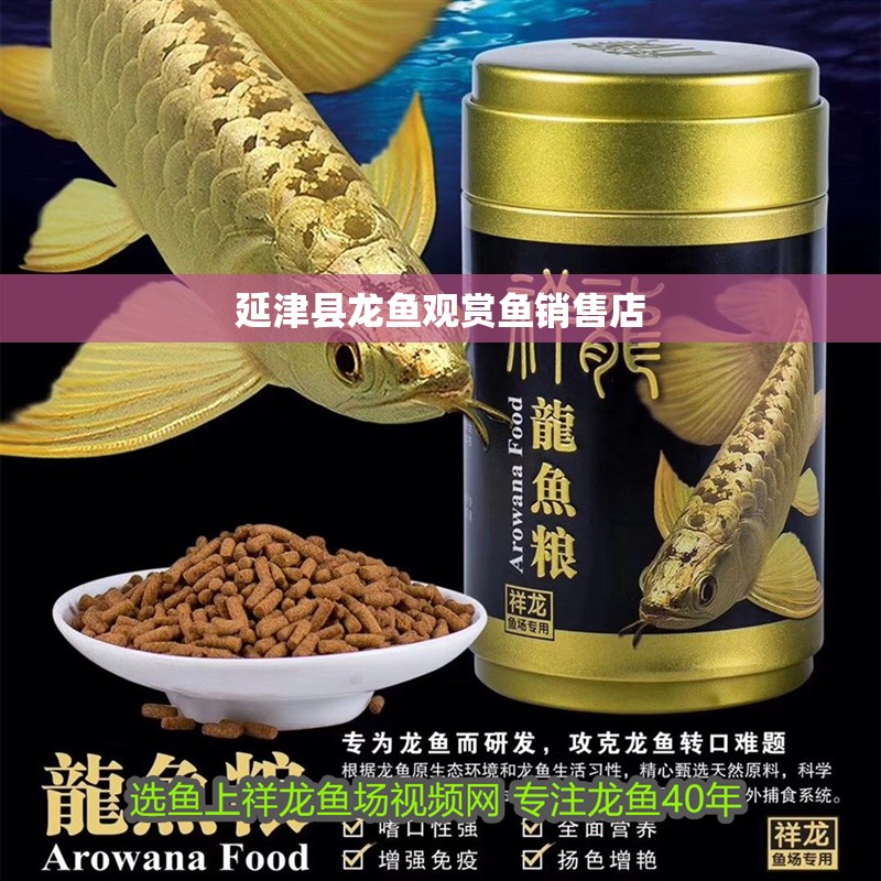 延津縣龍魚觀賞魚銷售店