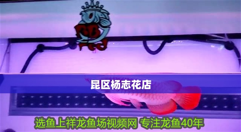 昆區楊志花店