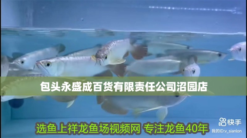 包頭永盛成百貨有限責任公司沼園店