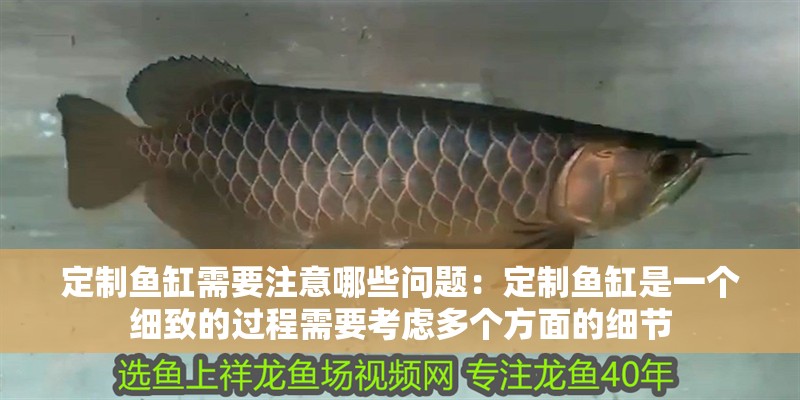 定制魚缸需要注意哪些問題：定制魚缸是一個細致的過程需要考慮多個方面的細節