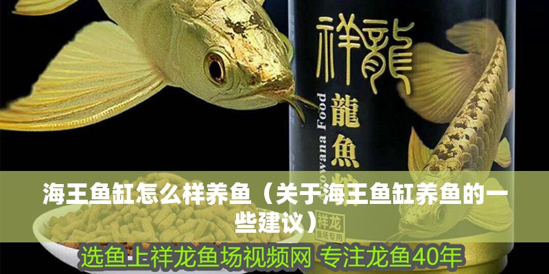 海王魚缸怎么樣養魚（關于海王魚缸養魚的一些建議）