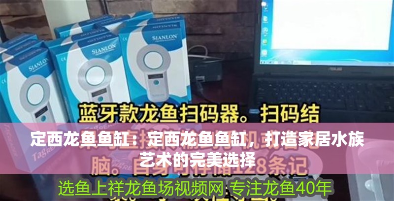 定西龍魚魚缸：定西龍魚魚缸，打造家居水族藝術的完美選擇