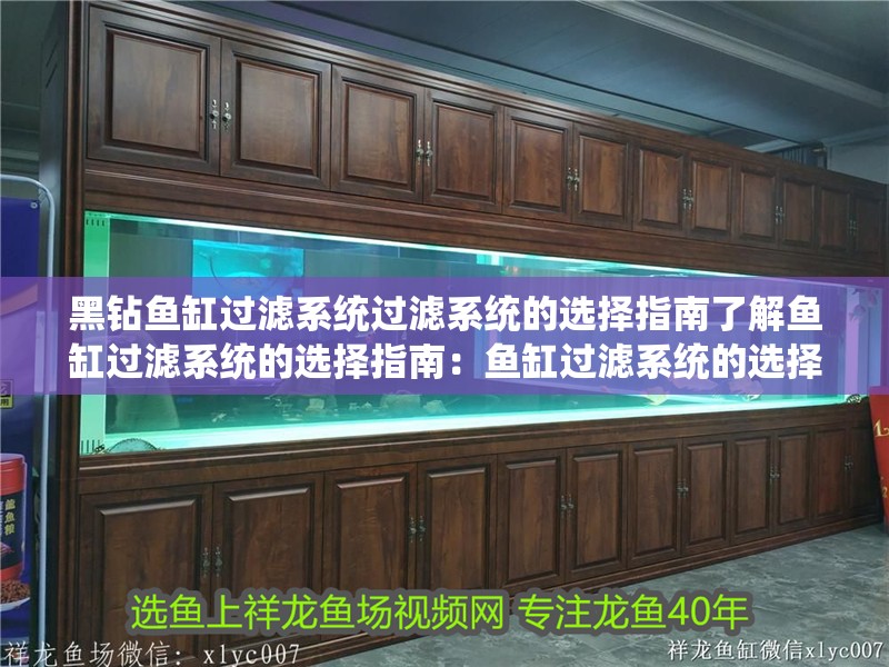 黑鉆魚缸過濾系統過濾系統的選擇指南了解魚缸過濾系統的選擇指南：魚缸過濾系統的選擇指南