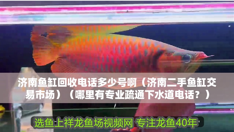 濟南魚缸回收電話多少號啊（濟南二手魚缸交易市場）（哪里有專業疏通下水道電話？）