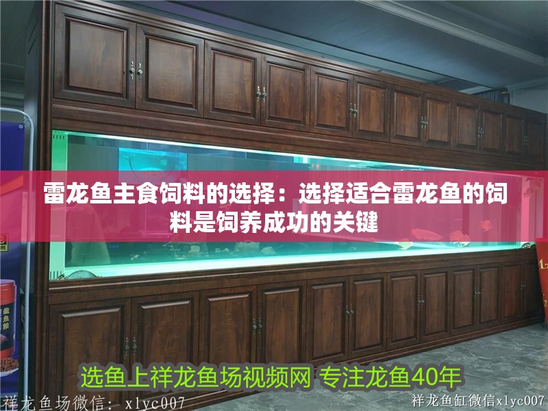 雷龍魚主食飼料的選擇：選擇適合雷龍魚的飼料是飼養成功的關鍵