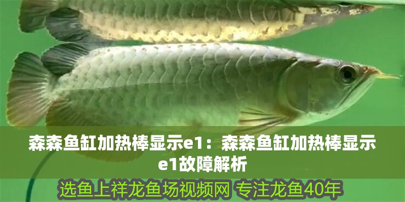 森森魚缸加熱棒顯示e1：森森魚缸加熱棒顯示e1故障解析