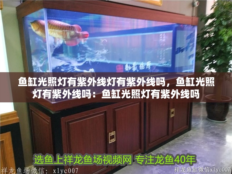 魚缸光照燈有紫外線燈有紫外線嗎，魚缸光照燈有紫外線嗎：魚缸光照燈有紫外線嗎 魚缸光照燈有紫外線燈有紫外線嗎，魚缸光照燈有紫外線嗎：魚缸光照燈有紫外線嗎 魚缸百科