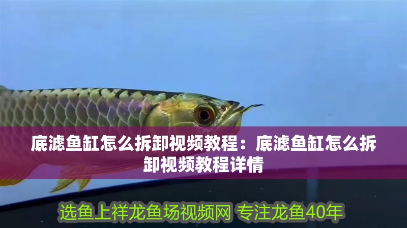 底濾魚(yú)缸怎么拆卸視頻教程：底濾魚(yú)缸怎么拆卸視頻教程詳情