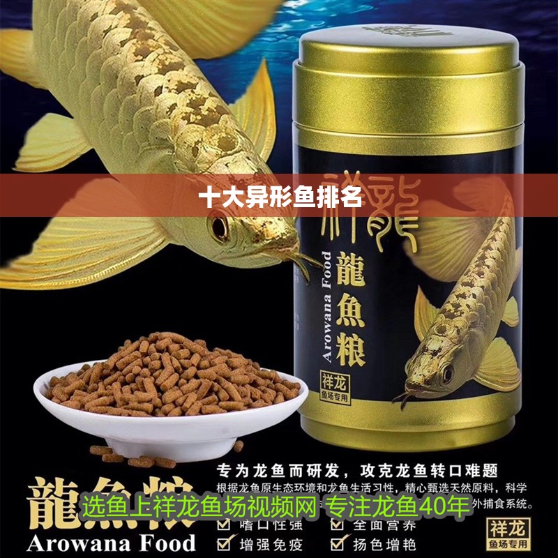 十大異形魚(yú)排名