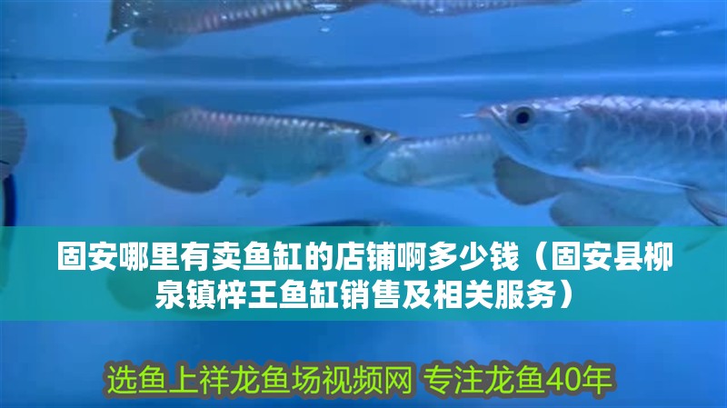 固安哪里有賣魚缸的店鋪啊多少錢（固安縣柳泉鎮(zhèn)梓王魚缸銷售及相關(guān)服務(wù)）