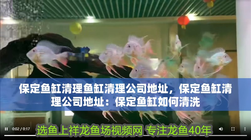 保定魚缸清理魚缸清理公司地址，保定魚缸清理公司地址：保定魚缸如何清洗