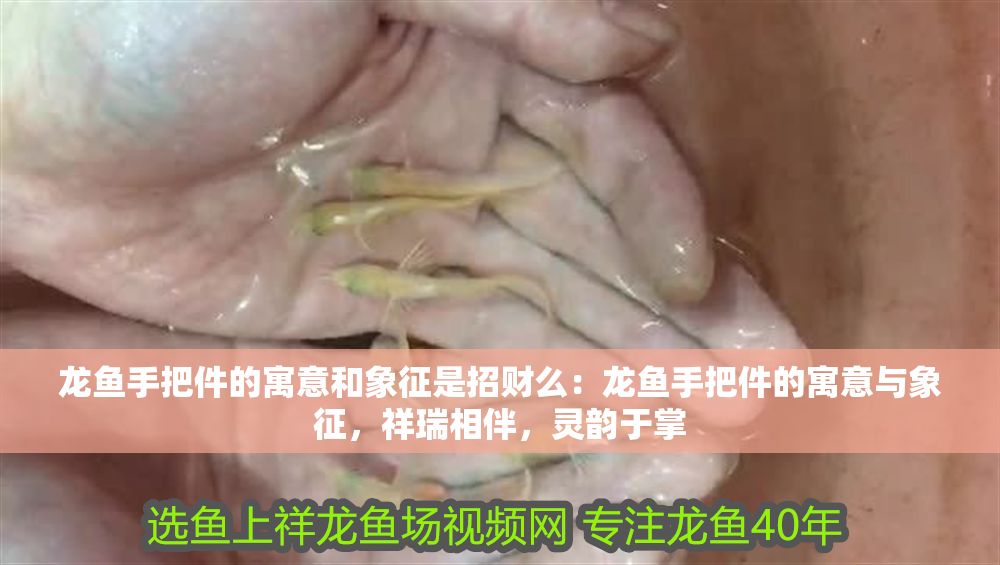 龍魚手把件的寓意和象征是招財么：龍魚手把件的寓意與象征，祥瑞相伴，靈韻于掌