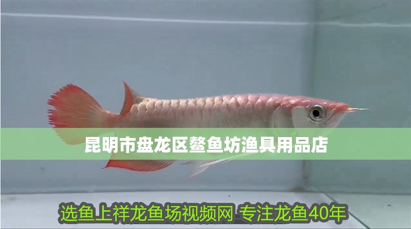 昆明市盤龍區鰲魚坊漁具用品店