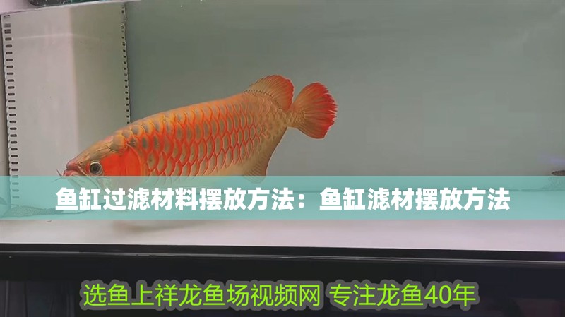 魚缸過濾材料擺放方法：魚缸濾材擺放方法