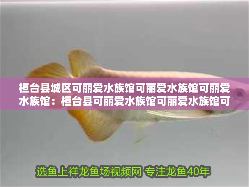 桓臺縣城區可麗愛水族館可麗愛水族館可麗愛水族館：桓臺縣可麗愛水族館可麗愛水族館可麗愛水族館水族館
