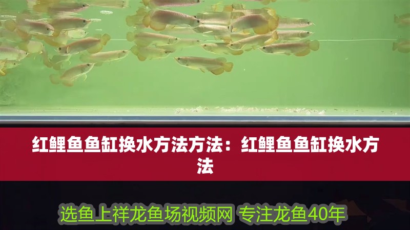 紅鯉魚魚缸換水方法方法：紅鯉魚魚缸換水方法